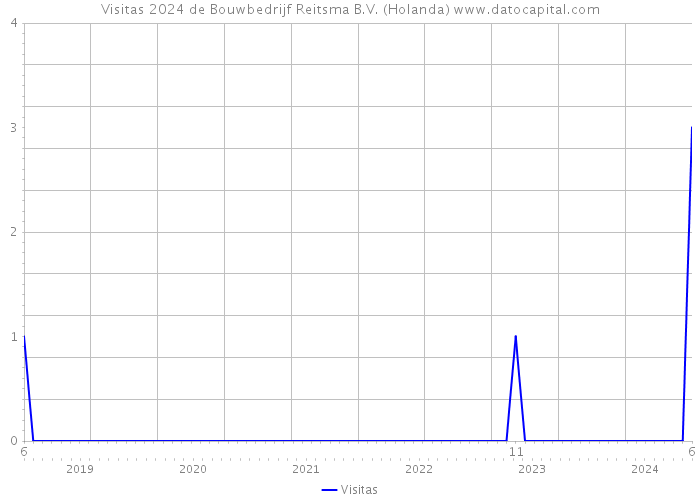 Visitas 2024 de Bouwbedrijf Reitsma B.V. (Holanda) 