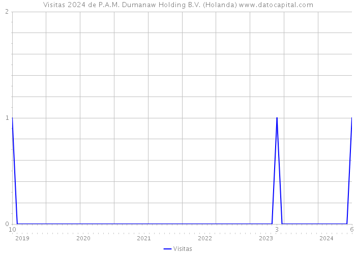 Visitas 2024 de P.A.M. Dumanaw Holding B.V. (Holanda) 