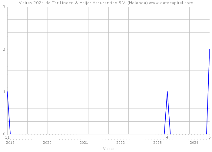 Visitas 2024 de Ter Linden & Heijer Assurantiën B.V. (Holanda) 