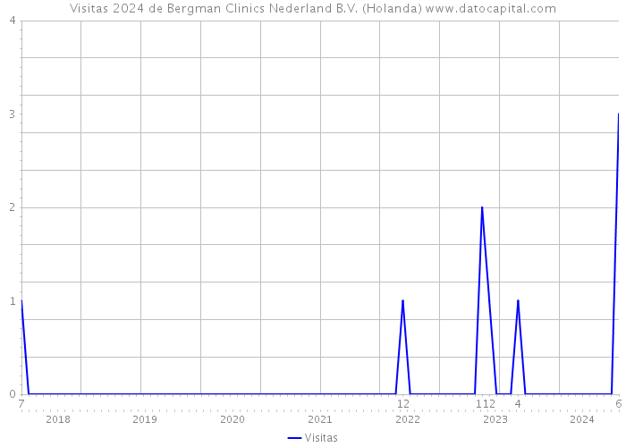 Visitas 2024 de Bergman Clinics Nederland B.V. (Holanda) 