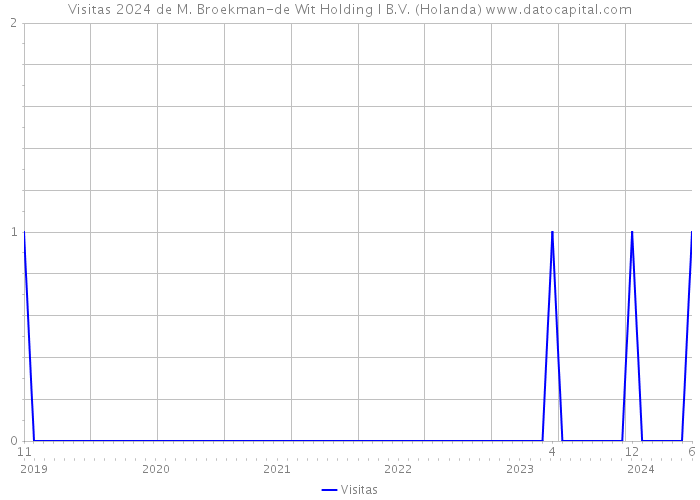 Visitas 2024 de M. Broekman-de Wit Holding I B.V. (Holanda) 