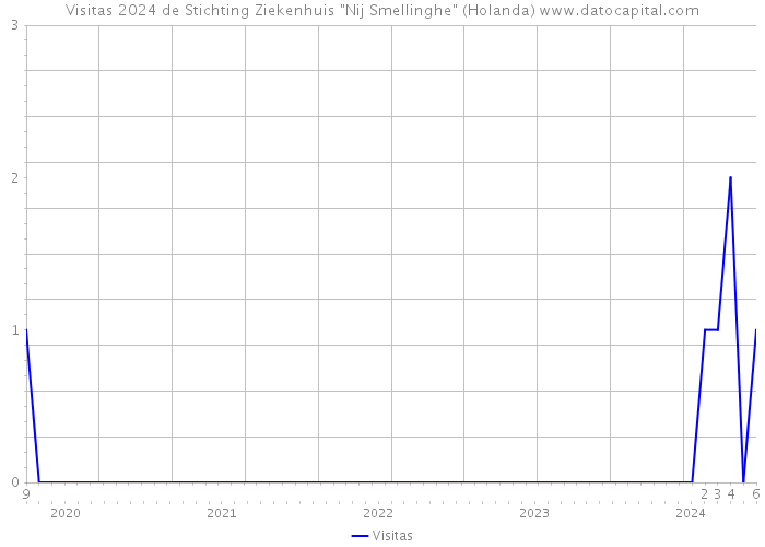 Visitas 2024 de Stichting Ziekenhuis 