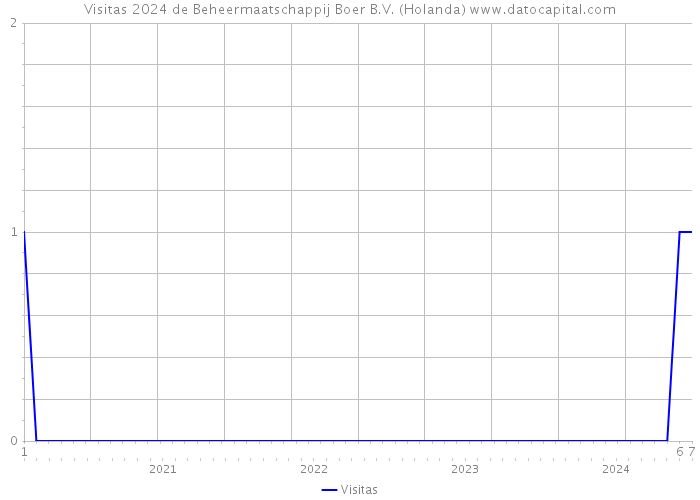 Visitas 2024 de Beheermaatschappij Boer B.V. (Holanda) 