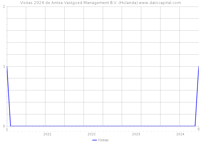 Visitas 2024 de Antea Vastgoed Management B.V. (Holanda) 