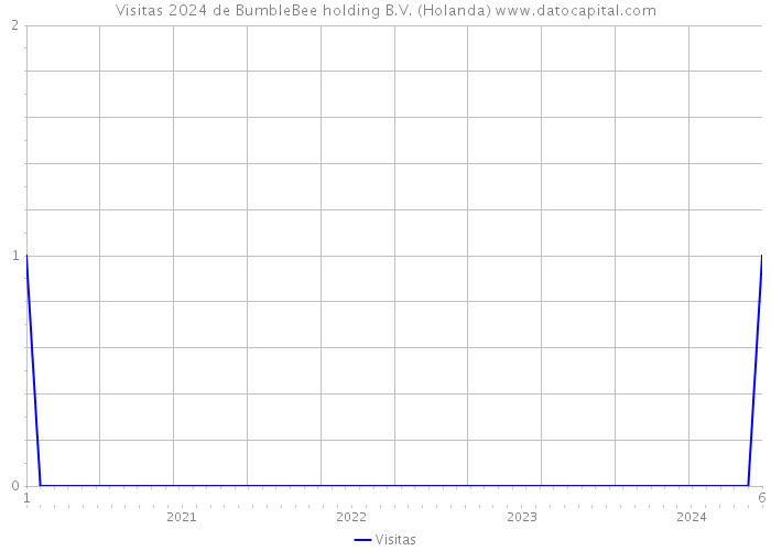 Visitas 2024 de BumbleBee holding B.V. (Holanda) 