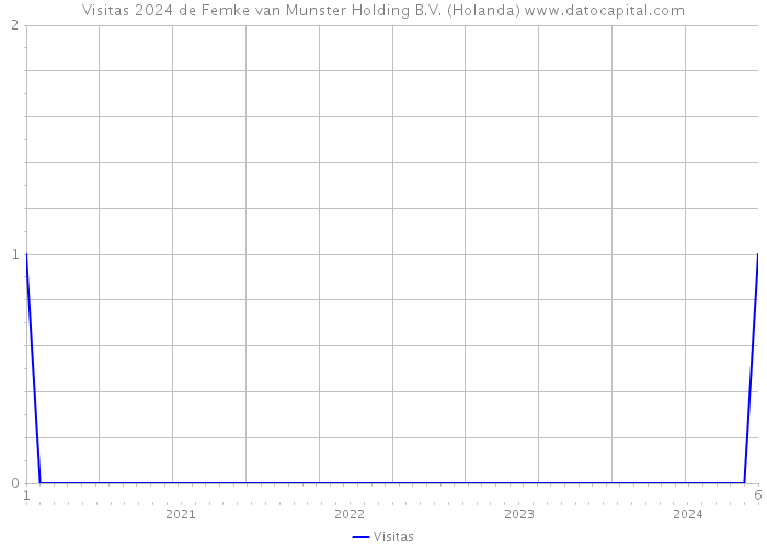 Visitas 2024 de Femke van Munster Holding B.V. (Holanda) 