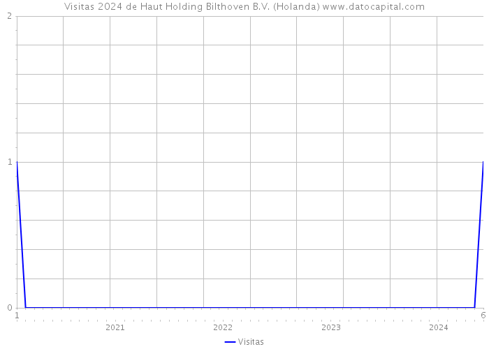 Visitas 2024 de Haut Holding Bilthoven B.V. (Holanda) 