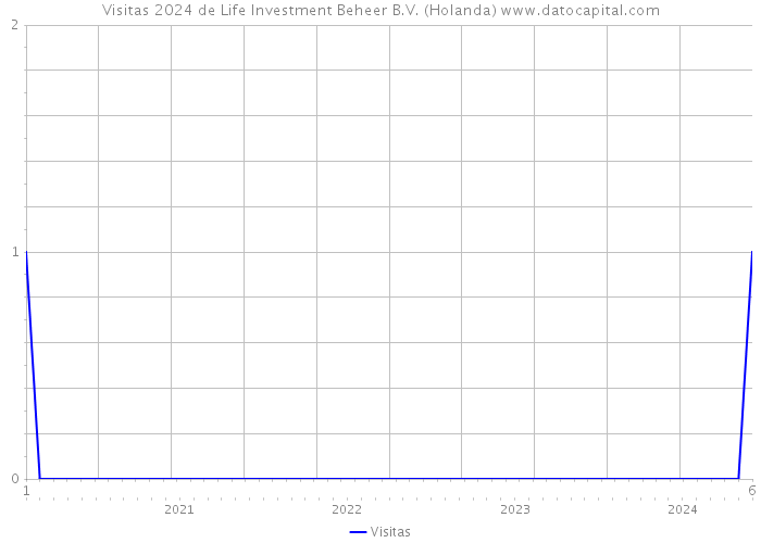 Visitas 2024 de Life Investment Beheer B.V. (Holanda) 
