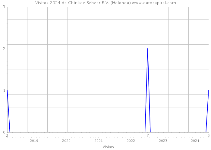 Visitas 2024 de Chinkoe Beheer B.V. (Holanda) 