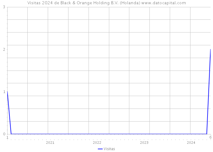 Visitas 2024 de Black & Orange Holding B.V. (Holanda) 