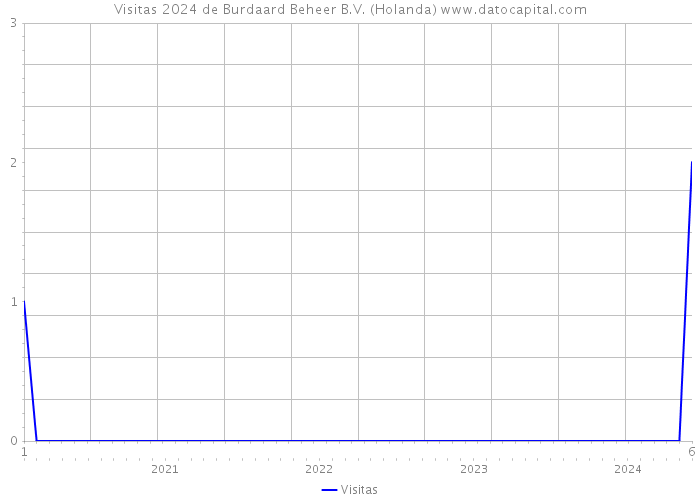 Visitas 2024 de Burdaard Beheer B.V. (Holanda) 