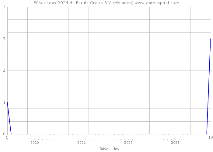 Búsquedas 2024 de Betula Group B.V. (Holanda) 