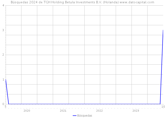 Búsquedas 2024 de TGH Holding Betula Investments B.V. (Holanda) 
