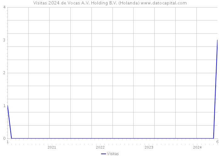 Visitas 2024 de Vocas A.V. Holding B.V. (Holanda) 