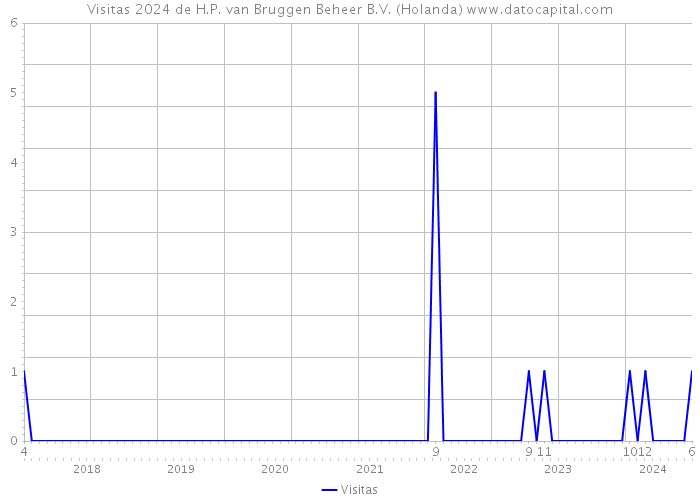 Visitas 2024 de H.P. van Bruggen Beheer B.V. (Holanda) 