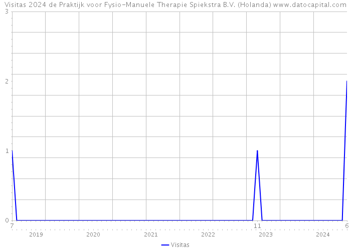Visitas 2024 de Praktijk voor Fysio-Manuele Therapie Spiekstra B.V. (Holanda) 