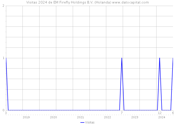 Visitas 2024 de EM Firefly Holdings B.V. (Holanda) 