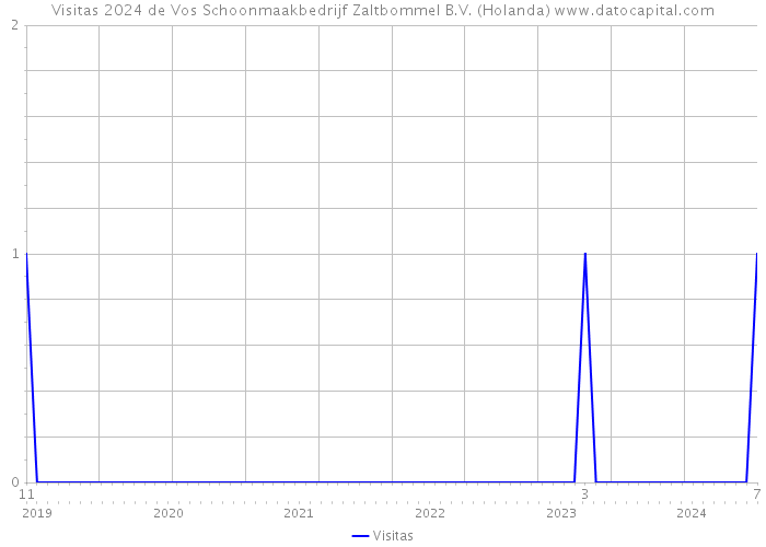 Visitas 2024 de Vos Schoonmaakbedrijf Zaltbommel B.V. (Holanda) 