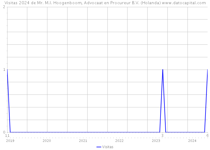 Visitas 2024 de Mr. M.I. Hoogenboom, Advocaat en Procureur B.V. (Holanda) 