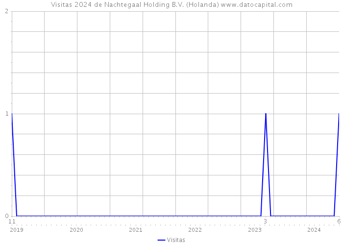 Visitas 2024 de Nachtegaal Holding B.V. (Holanda) 