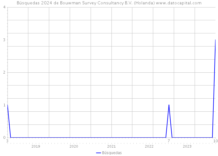 Búsquedas 2024 de Bouwman Survey Consultancy B.V. (Holanda) 