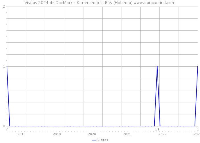 Visitas 2024 de DocMorris Kommanditist B.V. (Holanda) 