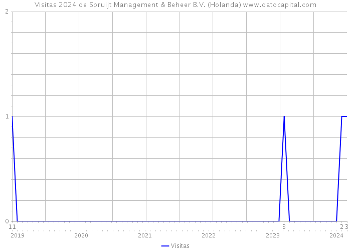 Visitas 2024 de Spruijt Management & Beheer B.V. (Holanda) 