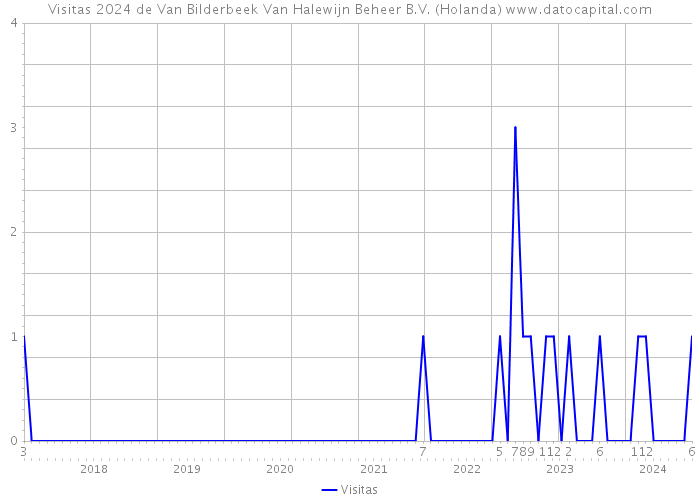 Visitas 2024 de Van Bilderbeek Van Halewijn Beheer B.V. (Holanda) 