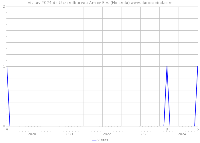 Visitas 2024 de Uitzendbureau Amice B.V. (Holanda) 