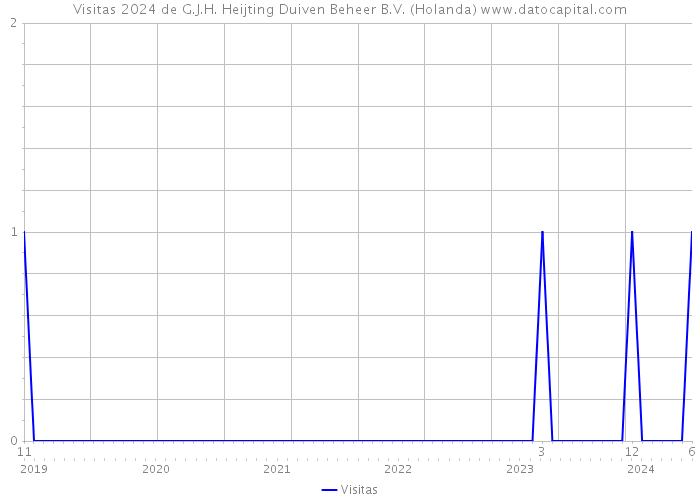 Visitas 2024 de G.J.H. Heijting Duiven Beheer B.V. (Holanda) 