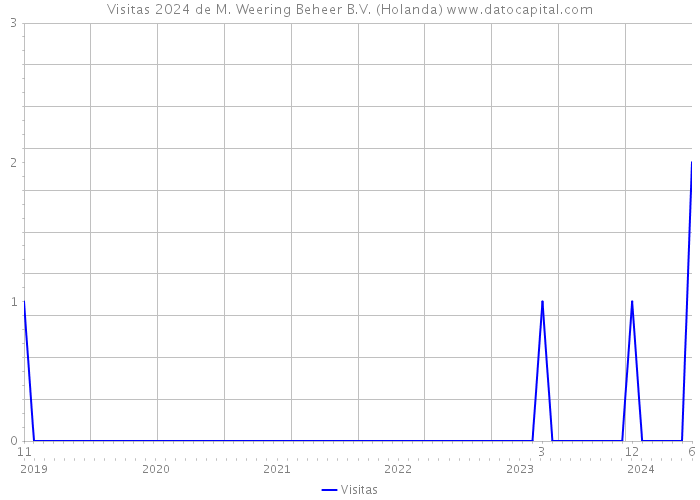 Visitas 2024 de M. Weering Beheer B.V. (Holanda) 