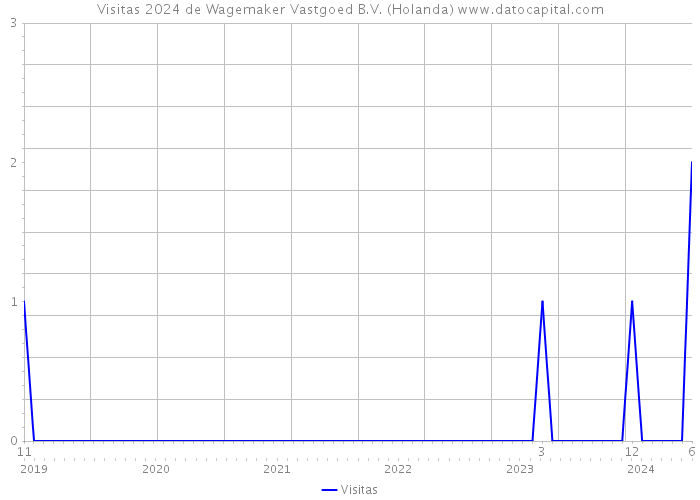 Visitas 2024 de Wagemaker Vastgoed B.V. (Holanda) 