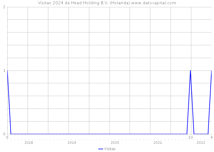 Visitas 2024 de Head Holding B.V. (Holanda) 