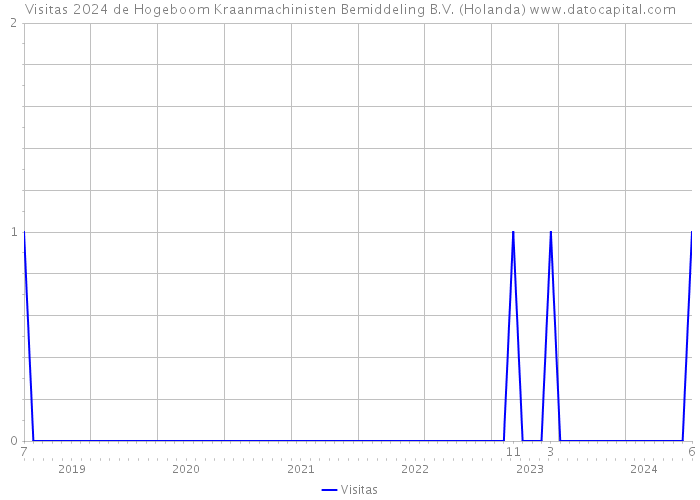 Visitas 2024 de Hogeboom Kraanmachinisten Bemiddeling B.V. (Holanda) 