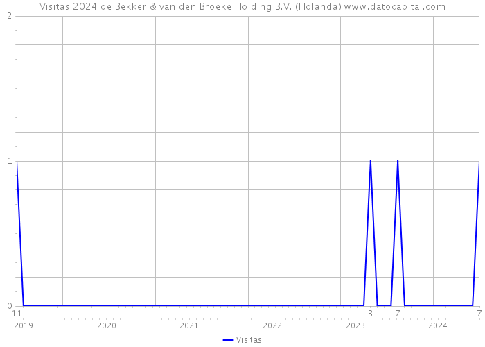 Visitas 2024 de Bekker & van den Broeke Holding B.V. (Holanda) 