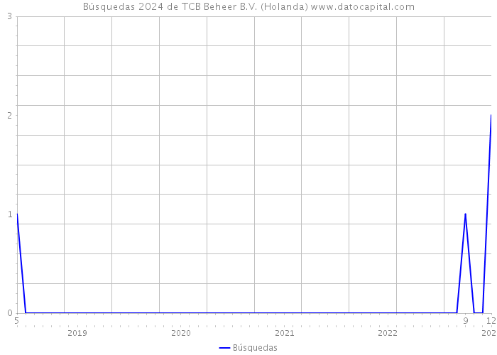 Búsquedas 2024 de TCB Beheer B.V. (Holanda) 