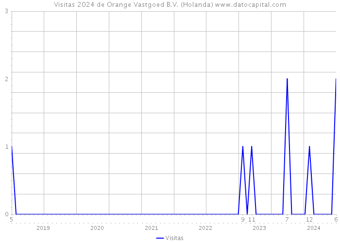 Visitas 2024 de Orange Vastgoed B.V. (Holanda) 