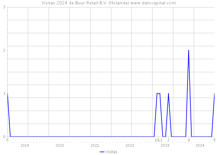 Visitas 2024 de Buur Retail B.V. (Holanda) 