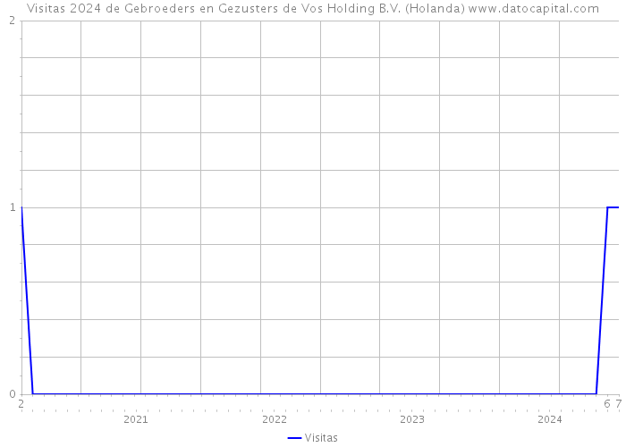 Visitas 2024 de Gebroeders en Gezusters de Vos Holding B.V. (Holanda) 