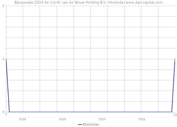 Búsquedas 2024 de C.A.M. van de Wouw Holding B.V. (Holanda) 