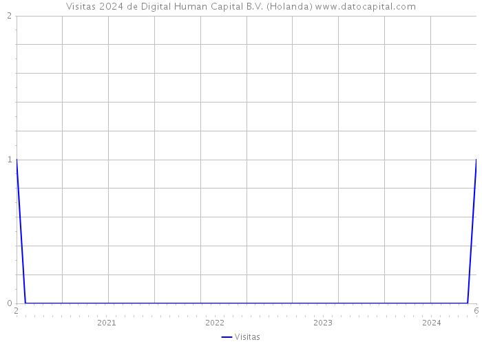 Visitas 2024 de Digital Human Capital B.V. (Holanda) 