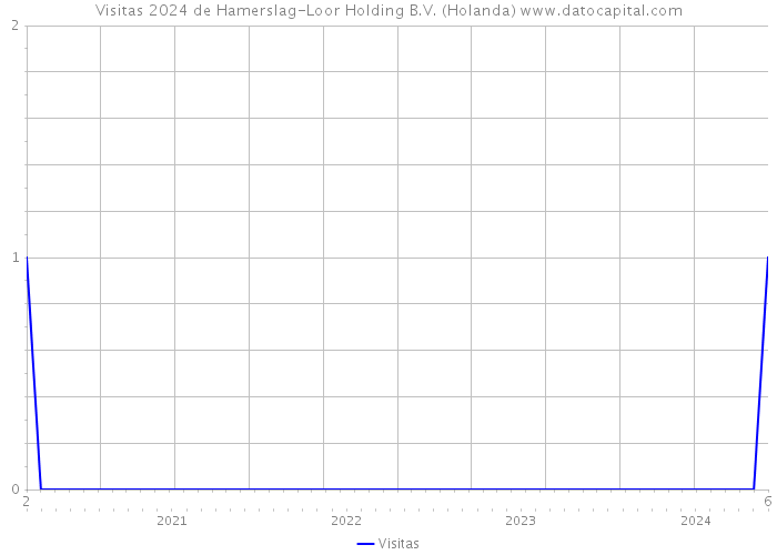Visitas 2024 de Hamerslag-Loor Holding B.V. (Holanda) 