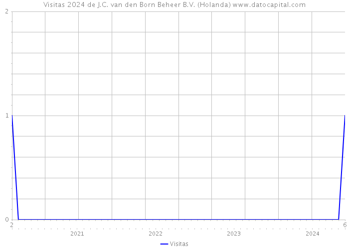 Visitas 2024 de J.C. van den Born Beheer B.V. (Holanda) 