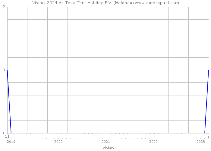 Visitas 2024 de Toko Tent Holding B.V. (Holanda) 