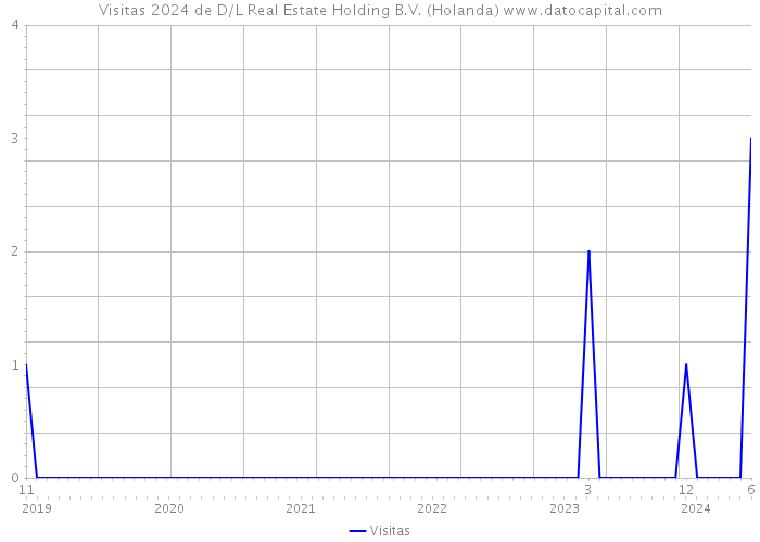 Visitas 2024 de D/L Real Estate Holding B.V. (Holanda) 