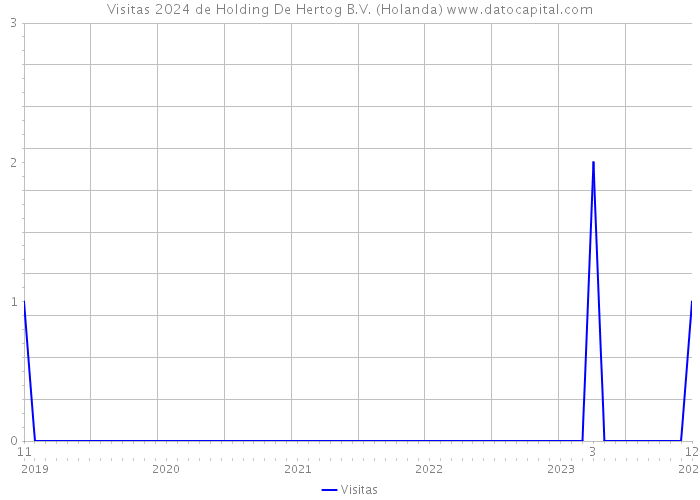 Visitas 2024 de Holding De Hertog B.V. (Holanda) 