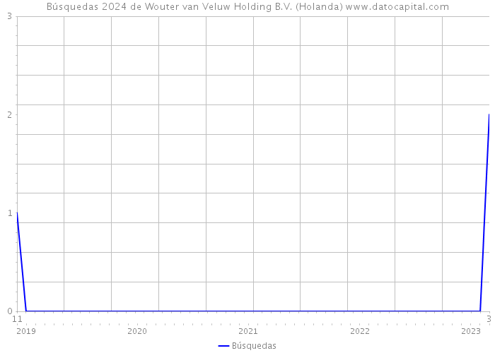 Búsquedas 2024 de Wouter van Veluw Holding B.V. (Holanda) 