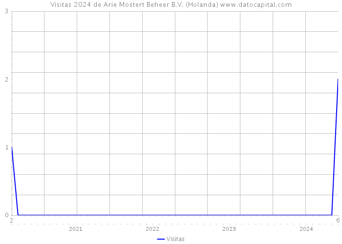 Visitas 2024 de Arie Mostert Beheer B.V. (Holanda) 