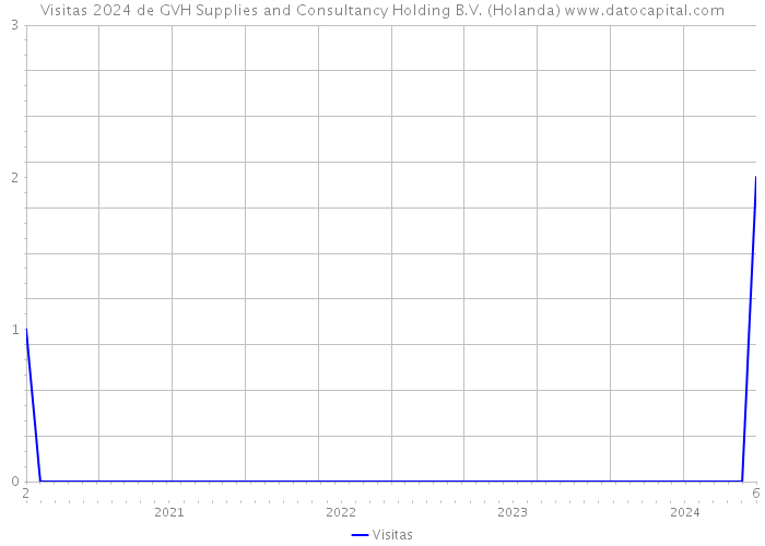 Visitas 2024 de GVH Supplies and Consultancy Holding B.V. (Holanda) 