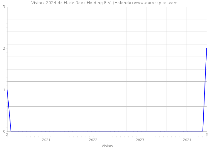 Visitas 2024 de H. de Roos Holding B.V. (Holanda) 